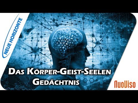Das Körper-Geist-Seelen-Gedächtnis - Claus Espenschied