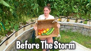 We Had to Harvest Before the Storm Hit…