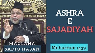 22nd Muharram 1439 - Majlis by Maulana Sadiq Hasan