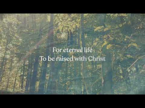 Thumbnail for Abide video