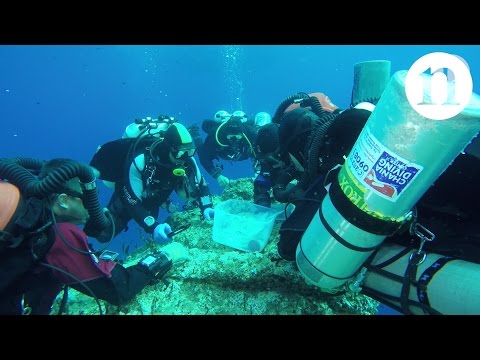 image-How did the Antikythera ship sink?