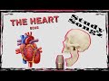 Heart Anatomy Song - Study Songz - Heart Blood Flow and Conduction