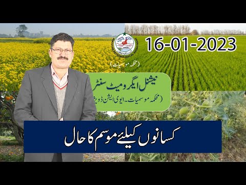 Farmer's Weather Forecast | 16-01-2023