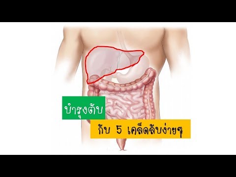 กลากจุลินทรีย์รักษาได้ ซื้อโลชั่นโรคสะเก็ดเงิน Fufaev ร่างกายบริสุทธิ์
