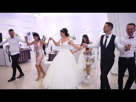 Shoqëria e Albanos në valle, ndizet atmosfera nga Shoqëria e Çiftit (4K UHD)