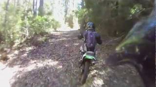 preview picture of video 'Slow run in the Tassie bush.MOV'