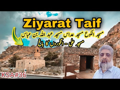 Taif Ziyarat | Historical Places in Taif | Masjid al-Kao | Masjid Ali | Grape Garden | زیارات طائف