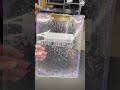 Glitter Clipboard Glitter Clipboard Satisfying
