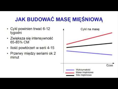 Kulturystyka rutynowe dzień Jaki jest krótkie ramię