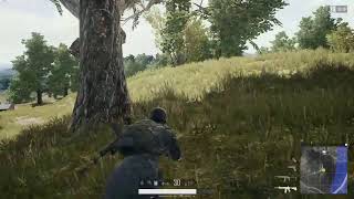 ドン勝目指して進行中？