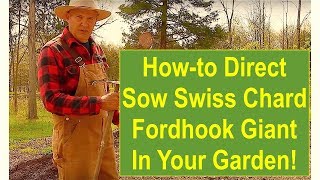 How to Direct-Sow Swiss Chard Fordhook Giant in Your Garden!
