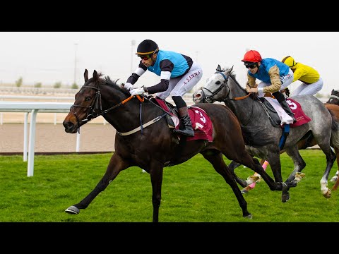 RM15 Al Uqda  RACE-5 -  Al Arish Cup