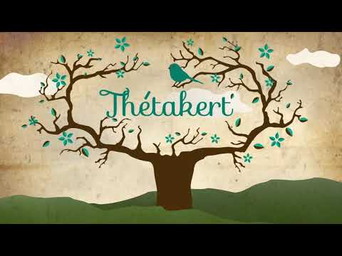 Reggeli teremtő - napindító megerősítések