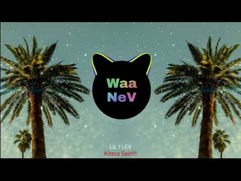 LIL FLEX - Kitsoz Sein!!!