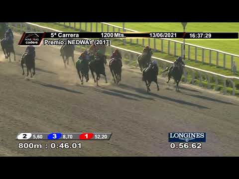 210613 c05 NIKI LAUDA