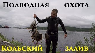 Ловля камбалы на кольском заливе