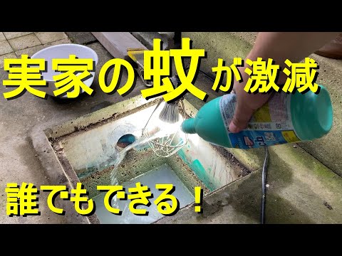 雨水が溜まった庭で蚊の繁殖を防ぐ方法