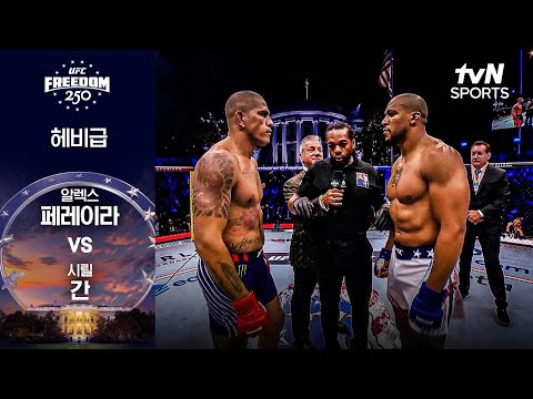 알렉스 페레이라 VS 시릴 간 UFC 하이라이트
