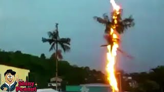 Download lagu Inilah Alasan Kenapa Tidak Boleh Berteduh di Bawah Pohon Ketika Banyak Petir mp3 Download lagu Inilah Alasan Kenapa Tidak Boleh Berteduh di Bawah Pohon Ketika Banyak Petir mp3