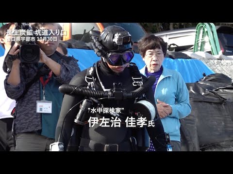 なぜツゲの蛾捕りを作るのですか？万全の予防！  庭園