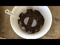 Water Bottle Timelapse Grow From Seed to Harvest