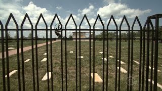 Forgotten cemetery for freed slaves rediscovered