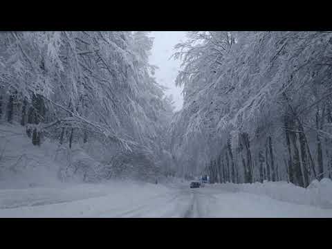 Neve 6 gennaio 2021 (parte 2)