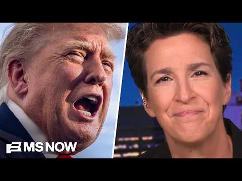 Maddow: Desperation creeps in as Trump's polls turn catastrophic