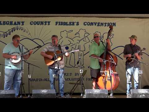 The Bluegrass Tradition - Love Is Like A Flower