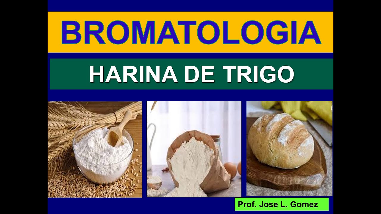 BROMATOLOGIA: HARINA DE TRIGO (OBTENCION)