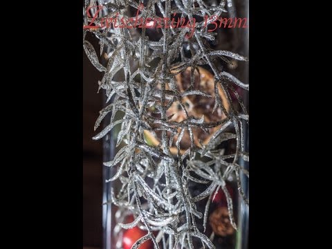 Makro Fotografie mit Zwischenringen Teil 1 [FOTOGRAFIEREN LERNEN]