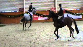 Video koně Cassandra