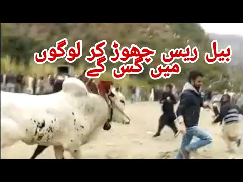 Bull leek Run Festival 23 March