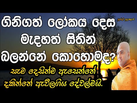 walpola gothama thero පූජ්‍යපාද වල්පොල ගෝතම ස්වාමීන් වහන්සේ.
