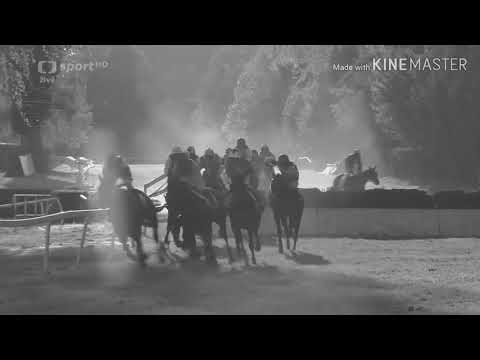 129. Velká Pardubická 2019 TRILER