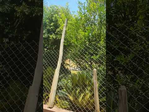 Entrada acesso ao Pesqueiro Shimazan em Igaratá, SP.