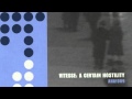 Vitesse- Car Crash