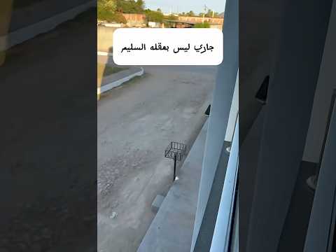 لا ترمِ تلفازك القديم لمجرد أنه ليس تلفازاً ذكياً! #نصائح #تلفاز_ذكي #تلفاز #حيل