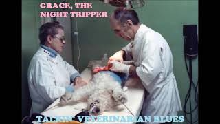 Talkin’ Veterinarian Blues (Corb Lund Cover)