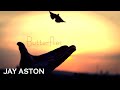 Jay Aston Butterflies