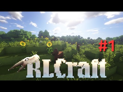 Ultimate RLcraft First Time Playthrough! (Timestamps)