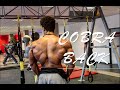 Cobra Back Workout | Arnold 2.0