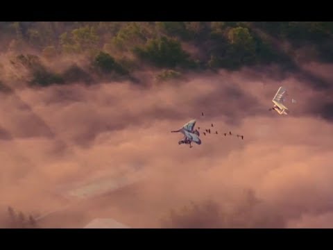 "Fly Away Home" - 1996 movie - My clip