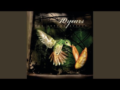 Insects - 10 Years