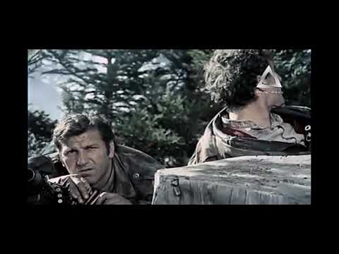 Vrhovi Zelengore - Bata Zivojinovic