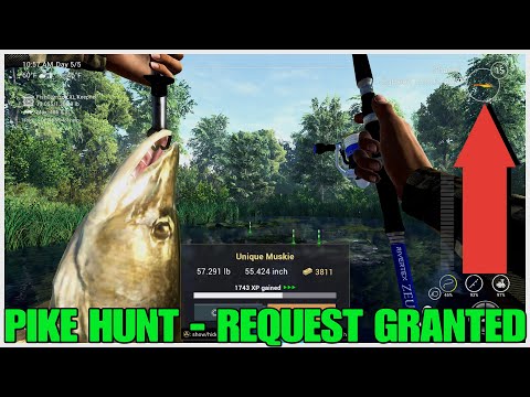 Pike Hunt II Shad Jig Bait Mission - How And What To Use To Get All Fish - Fishing Planet