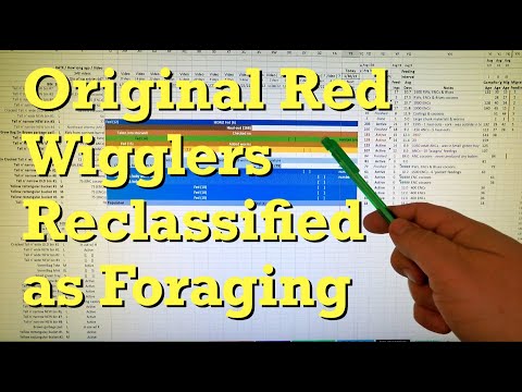 "Original" red wiggler worms reclassified as having been foraging - vermicompost