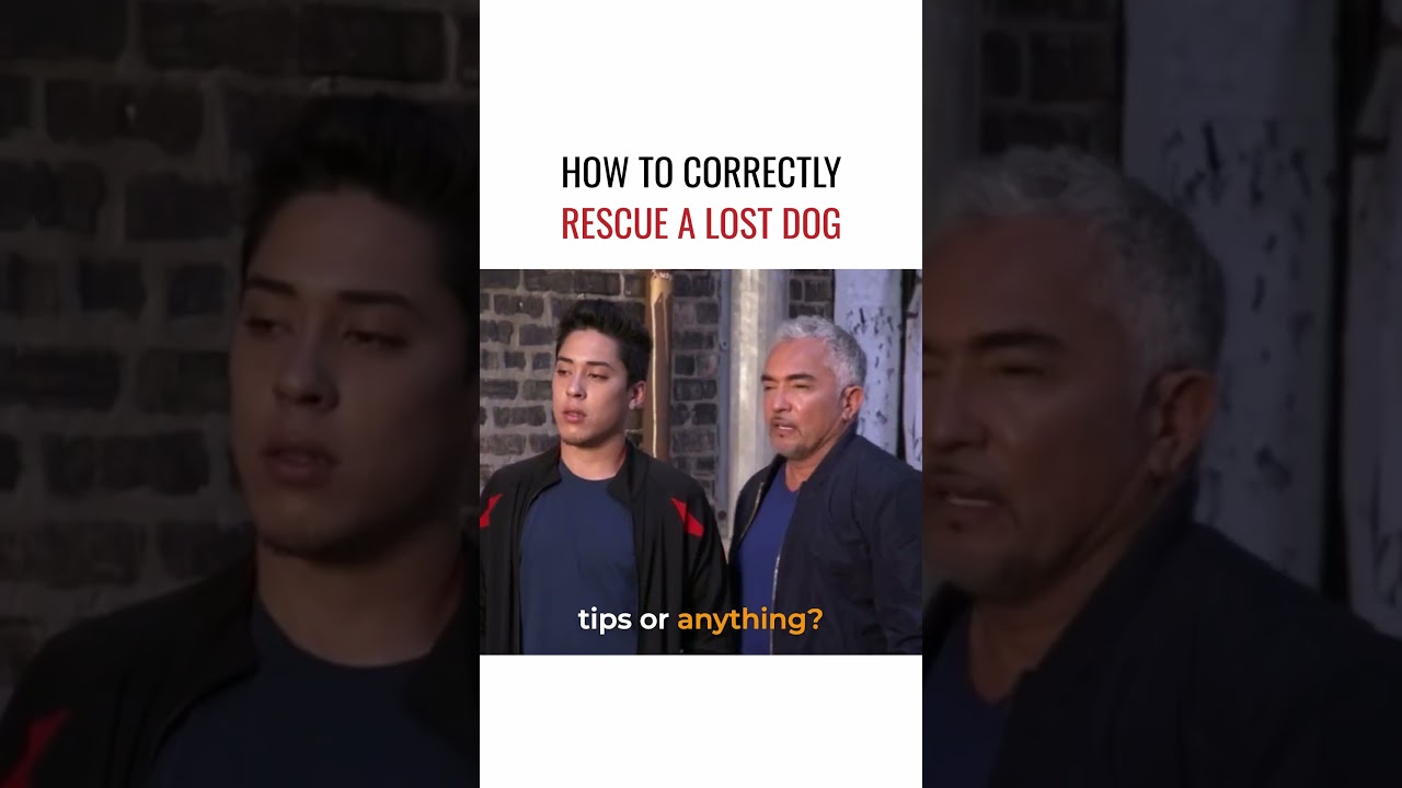 Video thumbnail for How to Correctly Rescue