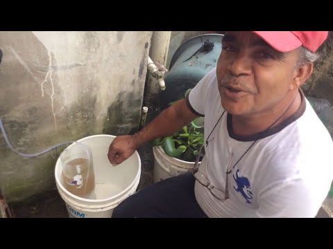 Mawalan ng Timbang sa 40 kababaihan bago at pagkatapos ng Paano sa mawala timbang mula sa hips at binti