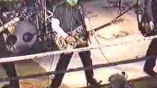 Photograph - Weezer (live)